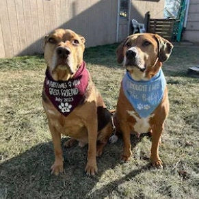 Personalized dog bandana size and style photo