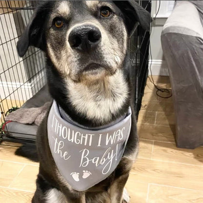I Thought I Was The Baby Dog Bandana | Pregnancy Announcement