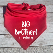 Load image into Gallery viewer, Big Brother in Training Dog Bandana, Pregnancy Announcement
