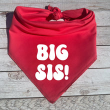 Load image into Gallery viewer, Big Sis Dog Bandana, Gift for Baby Shower, Birth Announcement, Maternity Pictures, Photoshoot with Dogs, Pregnancy Announcement Photo Prop

