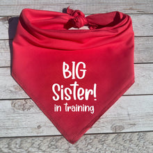 Load image into Gallery viewer, Big Sister Dog Bandana
