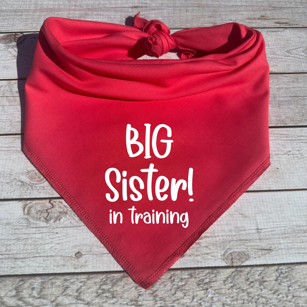 Big Sister Dog Bandana