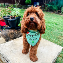 Load image into Gallery viewer, Doodle All The Way Dog Bandana
