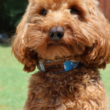 Load image into Gallery viewer, Personalized Christmas Dog Collar with Engraved Name with Matching Leash
