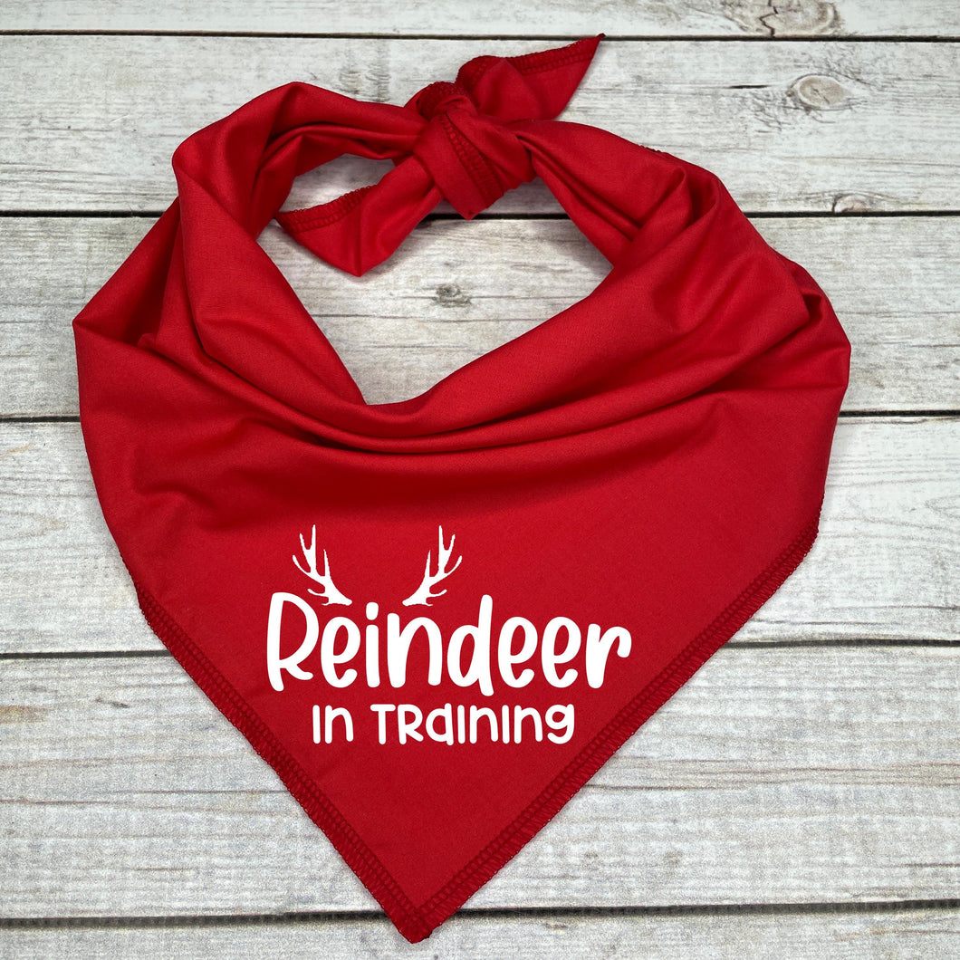 Reindeer in Training Dog Bandana, Pet Stocking Stuffer