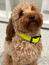 Load image into Gallery viewer, Yellow BioThane® Waterproof Dog Leash 1&quot;  Durable, Odor-Resistant, and Easy to Clean
