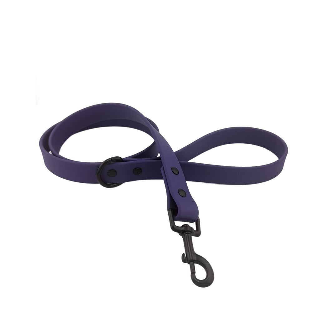 Purple BioThane® Waterproof Dog Leash 1