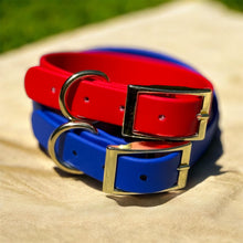 Load image into Gallery viewer, Luxury BioThane® Buckle 1  Dog Collar  Waterproof &amp; Odor-Resistant | Choose Your Color | Gold Hardware | Durable Adjustable Pet Collar
