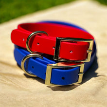 Load image into Gallery viewer, Luxury BioThane® Buckle 1  Dog Collar  Waterproof &amp; Odor-Resistant | Choose Your Color | Gold Hardware | Durable Adjustable Pet Collar
