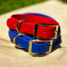 Load image into Gallery viewer, Luxury BioThane® Buckle 1  Dog Collar  Waterproof &amp; Odor-Resistant | Choose Your Color | Gold Hardware | Durable Adjustable Pet Collar
