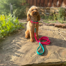 Load image into Gallery viewer, Custom Two-Tone BioThane® Dog Collar with Nickel Buckles | 1&quot; Quick Release Adjustable | Waterproof, Odor-Proof, Durable Pet Collar
