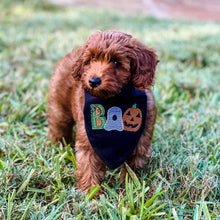 Load image into Gallery viewer, Halloween Dog Bandana | Embroidered “BOO Fun Font | Cute Spooky Pet Scarf | Fall Dog Outfit | Seasonal Dog Accessory
