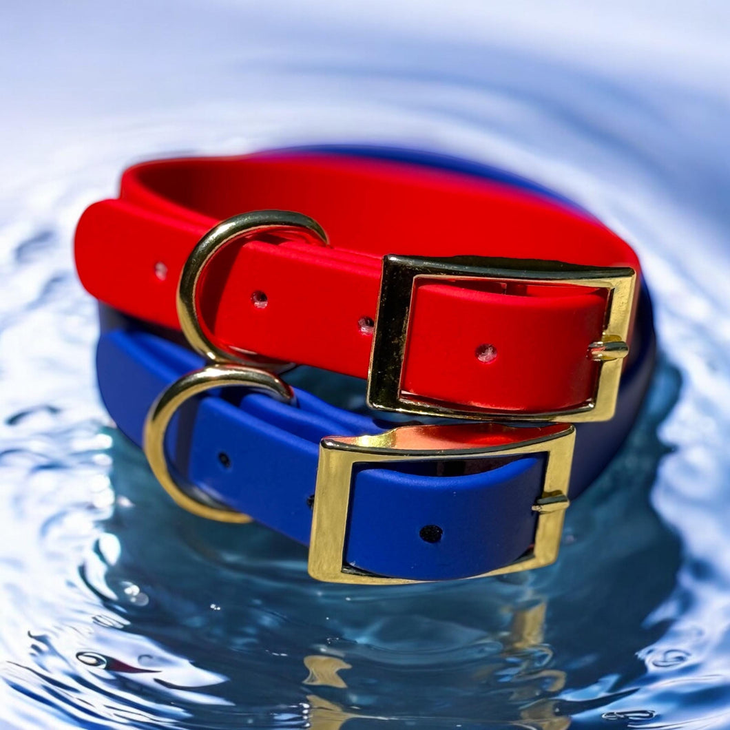 Luxury BioThane® Buckle 1  Dog Collar  Waterproof & Odor-Resistant | Choose Your Color | Gold Hardware | Durable Adjustable Pet Collar