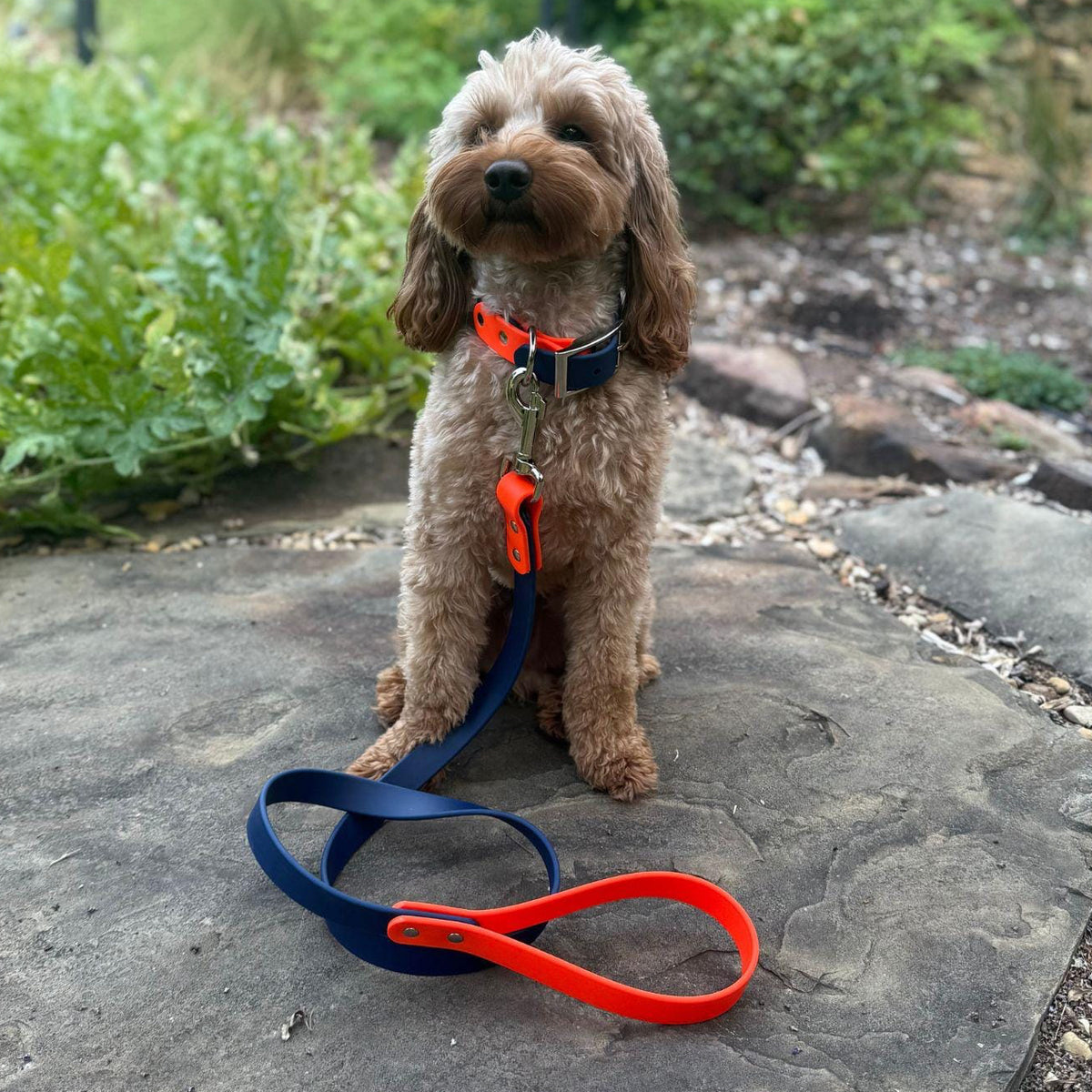 Two-Tone BioThane® Dog Collar & Leash Set