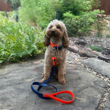 Load image into Gallery viewer, Two Tone BioThane® Dog Collar and Leash Set | Waterproof Stink Proof Durable Dog Walking Gear | Custom Collar &amp; Leash Combo
