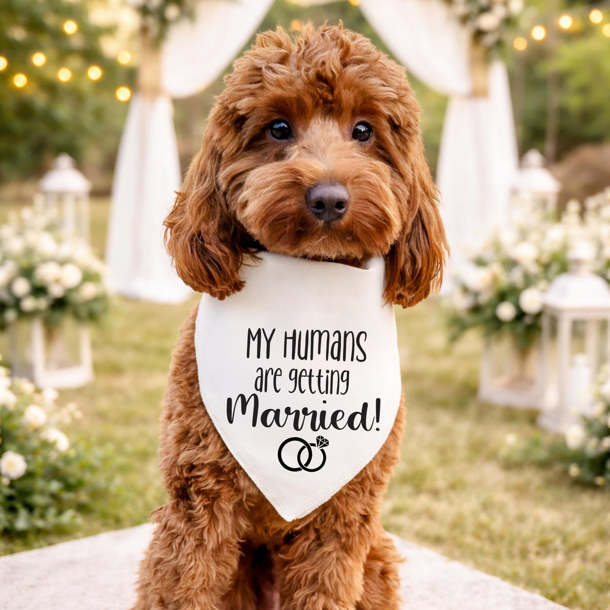 My Humans Are Getting Married engagement rings dog bandana on white background