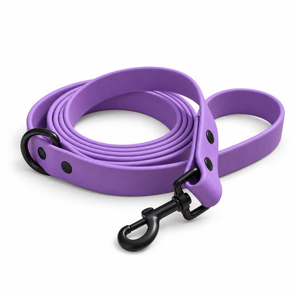 Waterproof BioThane collars and leashes promotional image