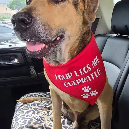 Personalized Dog Bandana Custom Text Example