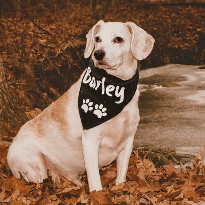 Personalized Dog Bandana Custom Text Example