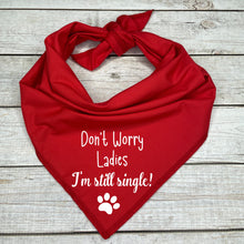 Load image into Gallery viewer, Mr Steal Your Girl Dog Bandana
