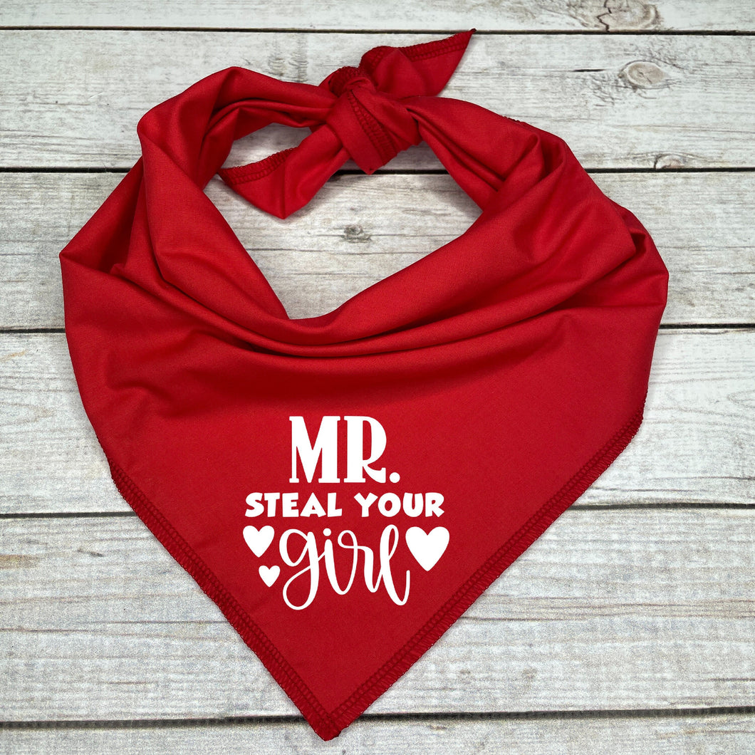Mr Steal Your Girl Dog Bandana