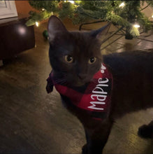 Load image into Gallery viewer, Buffalo Plaid Cat Bandana*** Personalized with Paw Print
