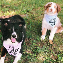 Load image into Gallery viewer, Little Brother Blue Seer Sucker Dog Bandana, Baby Announcement
