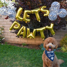 Load image into Gallery viewer, Birthday Dood! Dog Bandana
