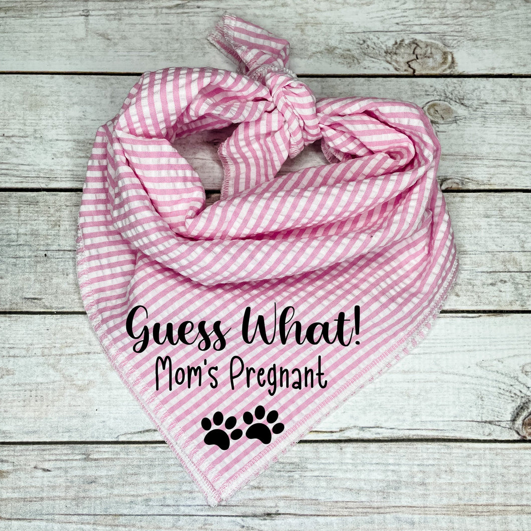 Guess What! Mom’s Pregnant Seersucker Dog Bandana  * baby announcement