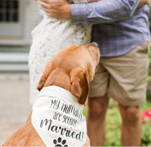Load image into Gallery viewer, My Humans are getting Married with set of Gold Rings! Dog Bandana
