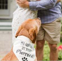 Load image into Gallery viewer, My Humans are getting Married with Gold Ring! Dog Bandana

