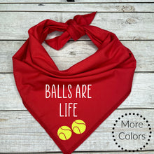 Load image into Gallery viewer, Balls are Life Dog Bandana
