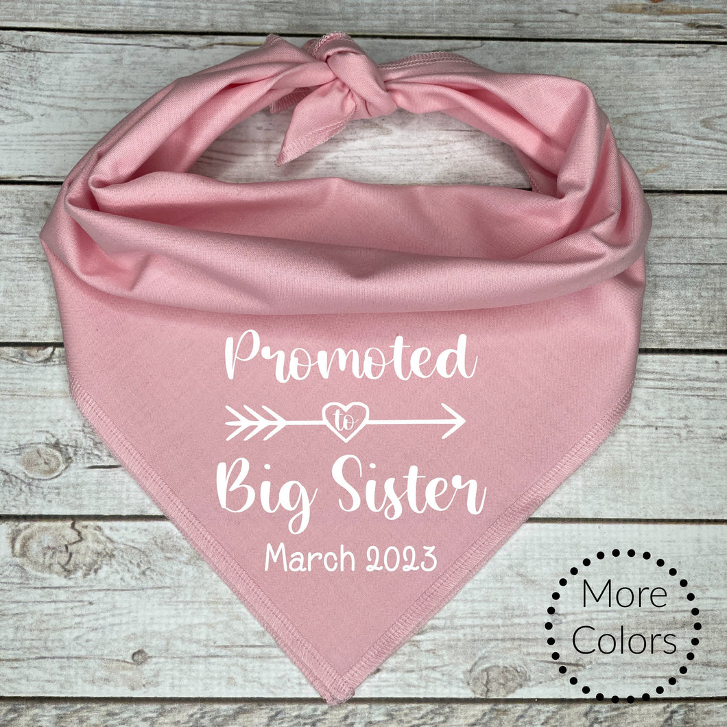Promoted to Big Sister Dog Bandana with custom date, Pregnancy Announcement, Shower Gift