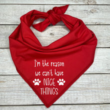 Load image into Gallery viewer, I&#39;m the Reason we Can&#39;t Have Nice Things Dog Bandana
