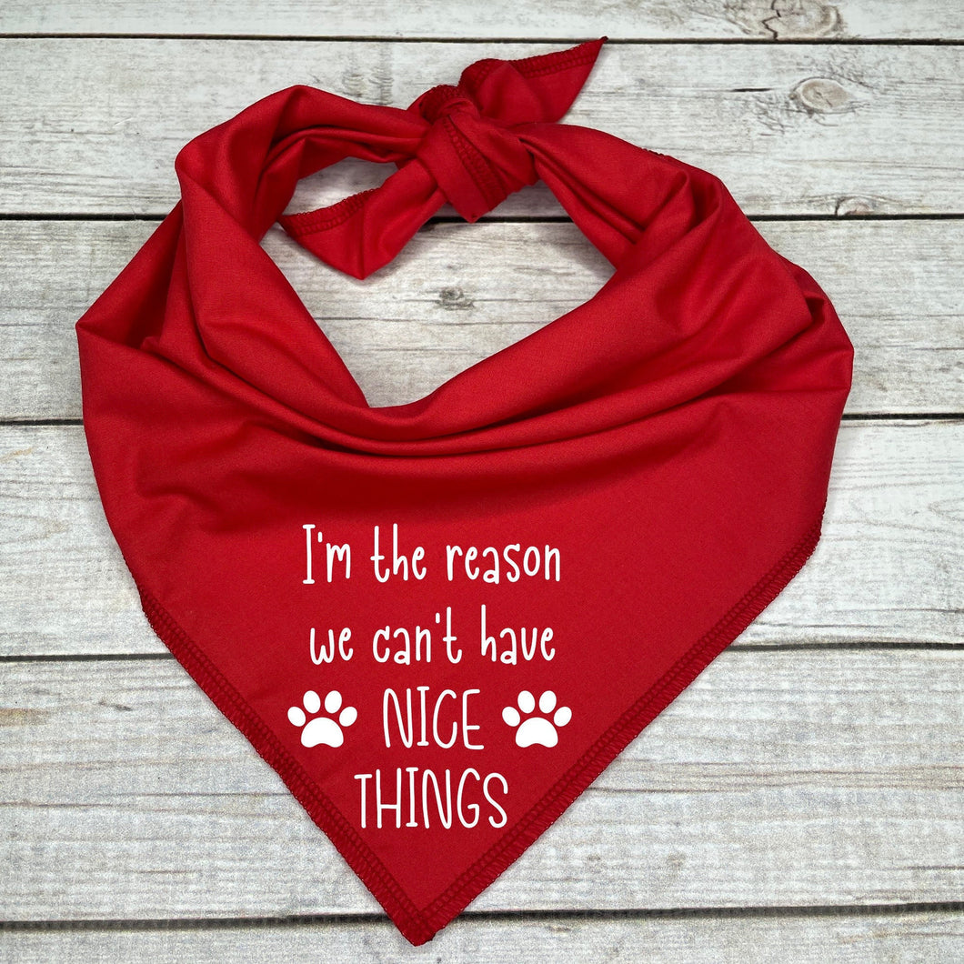 I'm the Reason we Can't Have Nice Things Dog Bandana