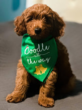 Load image into Gallery viewer, Doodle All The Way Dog Bandana
