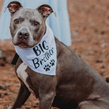 Load image into Gallery viewer, Big BrotherBlue Seer Sucker Dog Bandana, Birth Announcement
