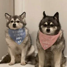 Load image into Gallery viewer, My Humans are getting me a Baby  Dog Bandana
