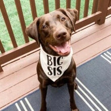 Load image into Gallery viewer, Big Sis Dog Bandana ** Pregnancy Announcement
