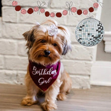 Load image into Gallery viewer, Birthday Girl Dog Bandana
