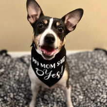 Load image into Gallery viewer, My Mom said Yes! Dog Bandana
