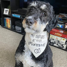Load image into Gallery viewer, My Humans are getting Married! Dog Bandana with Engagement Rings
