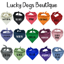 Load image into Gallery viewer, I Get My Crazy from my Daddy Dog Bandana
