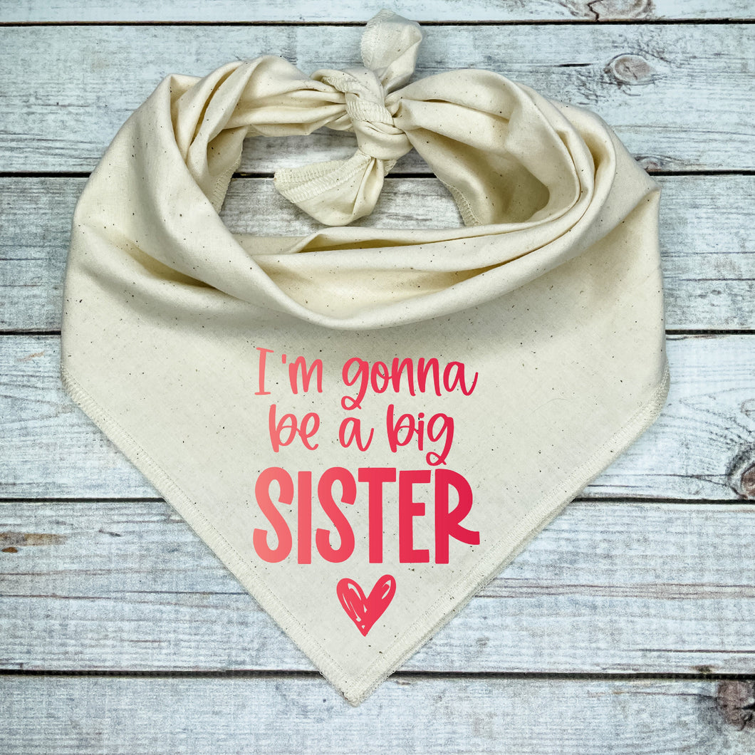 I'm Gonna Be a Big Sister Dog Bandana, Pregnancy Announcement
